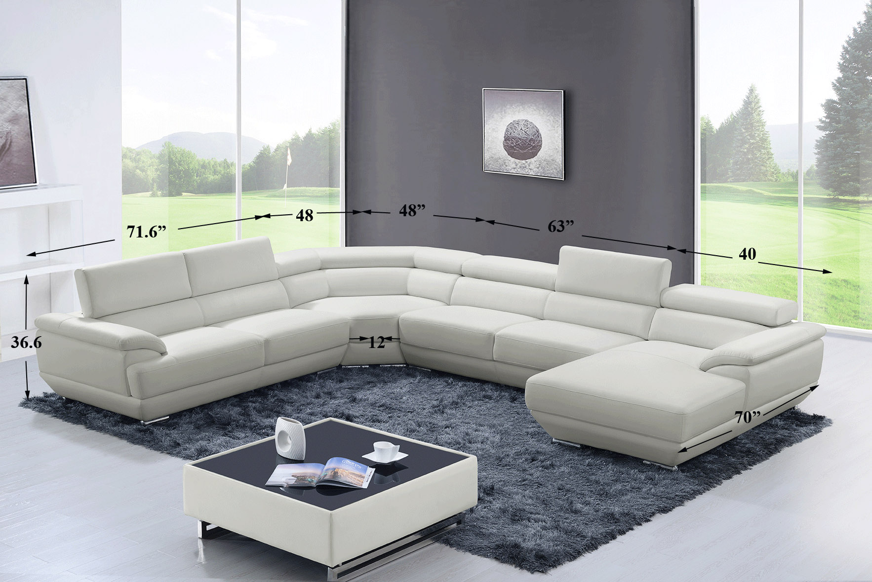 Living Room With White Leather Sectional
