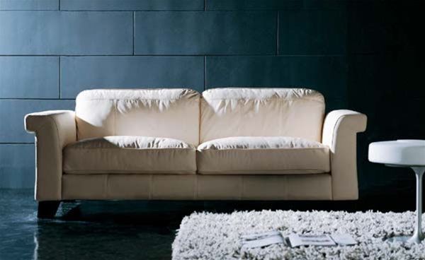 wooden base leather sofa